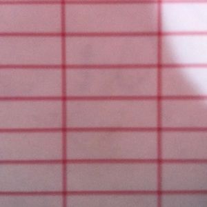 Meet your Posher, Kamal